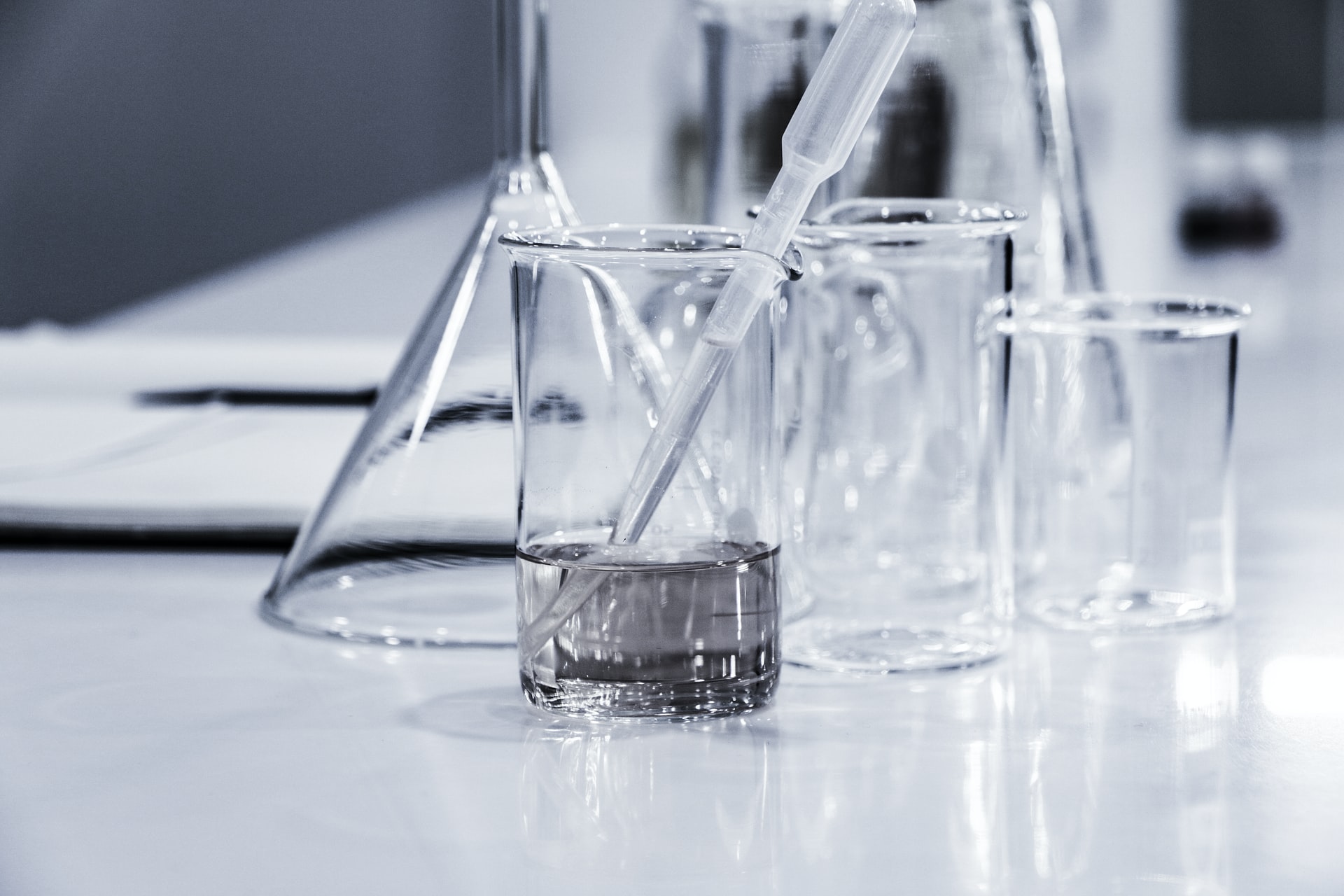 Scientists at work